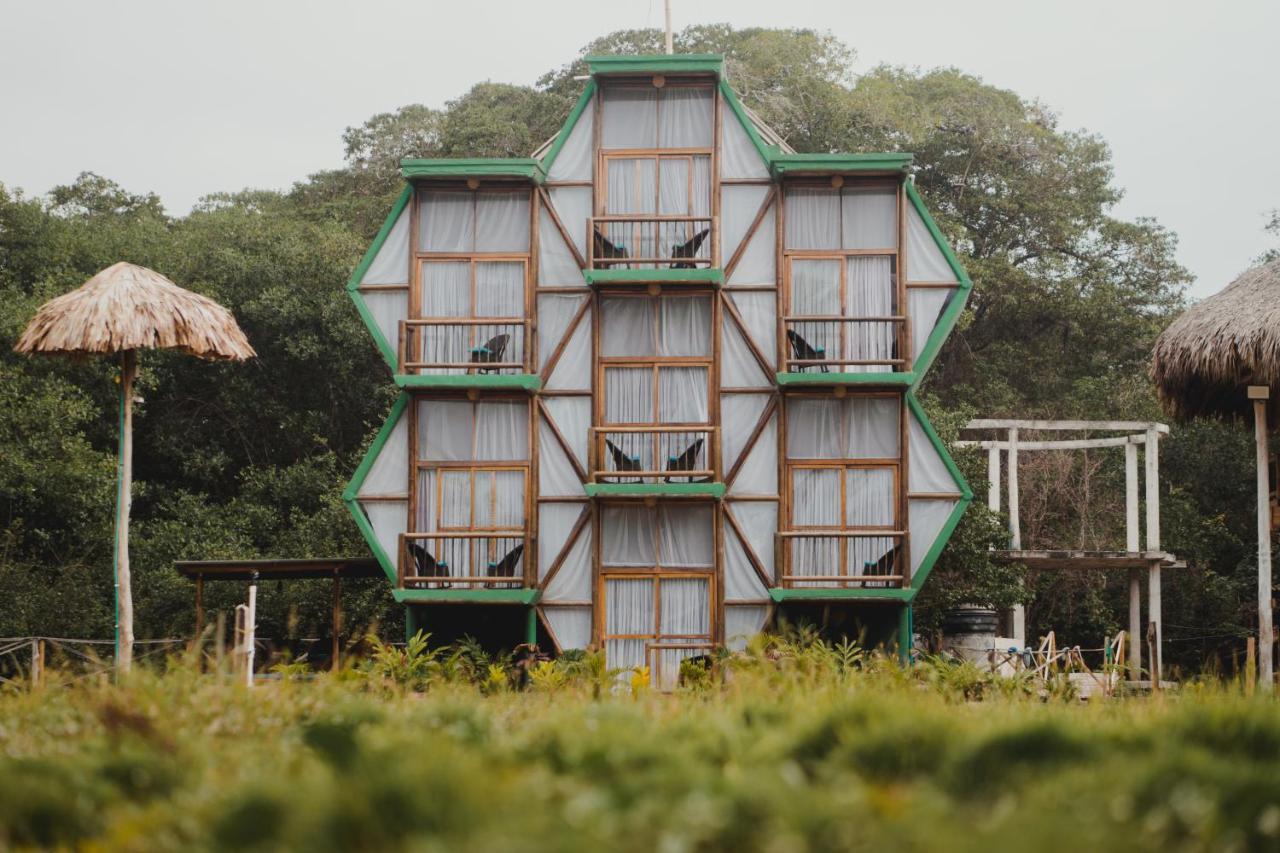 Uuttaaka Eco-Hotel 팔로미노 외부 사진